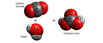 Carbonic Acid