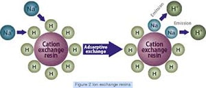 Diagram of ion exchange molecules