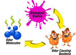 Odor control and its causes