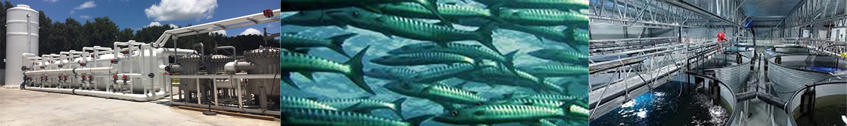 Pisciculture 3 images-1