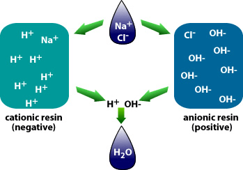 cationic resin and anionic resin 