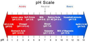 pH Scale