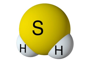 H2S 1