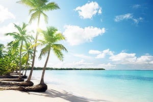 palms and Caribbean beach