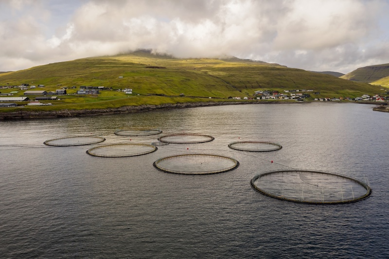 MODERN AQUAFARMING MODERN AQUAFARMING