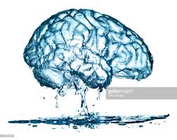 water brain